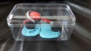 tout juin début 2018 050